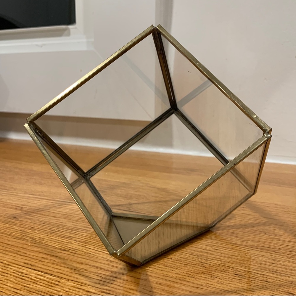 Geometric modern gold and glass terrarium/bowl